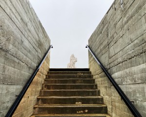 mgmt_img3
